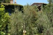 Hotel Porciglia Alta Montespertoli Esterno foto
